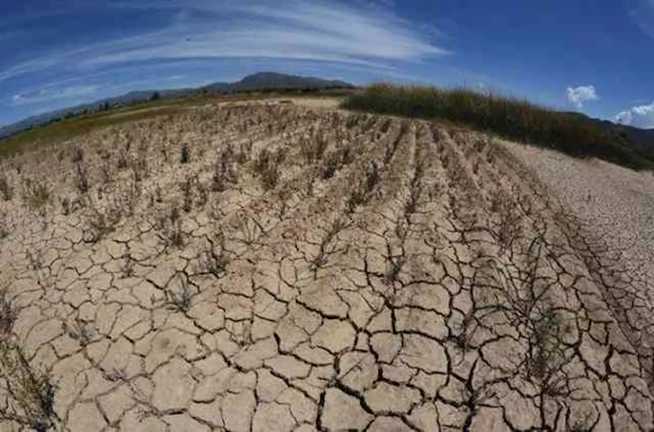 Por calor y falta de lluvia, enfrentaría Veracruz “situación compleja”