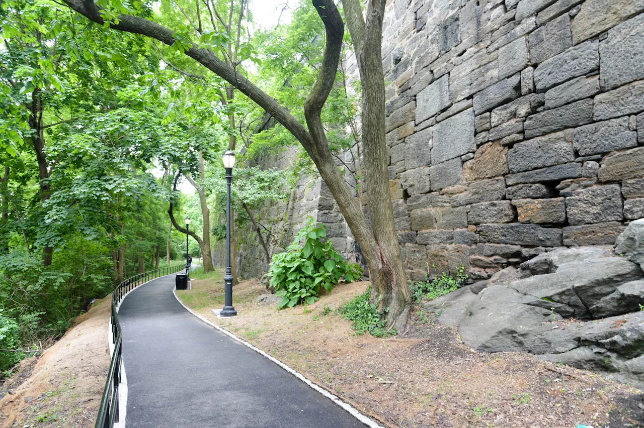  Generating the new revenues needed to support NYC’s parks