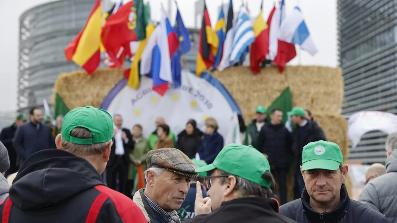 The EU's new import deal would support Ukraine while protecting the bloc's farmers