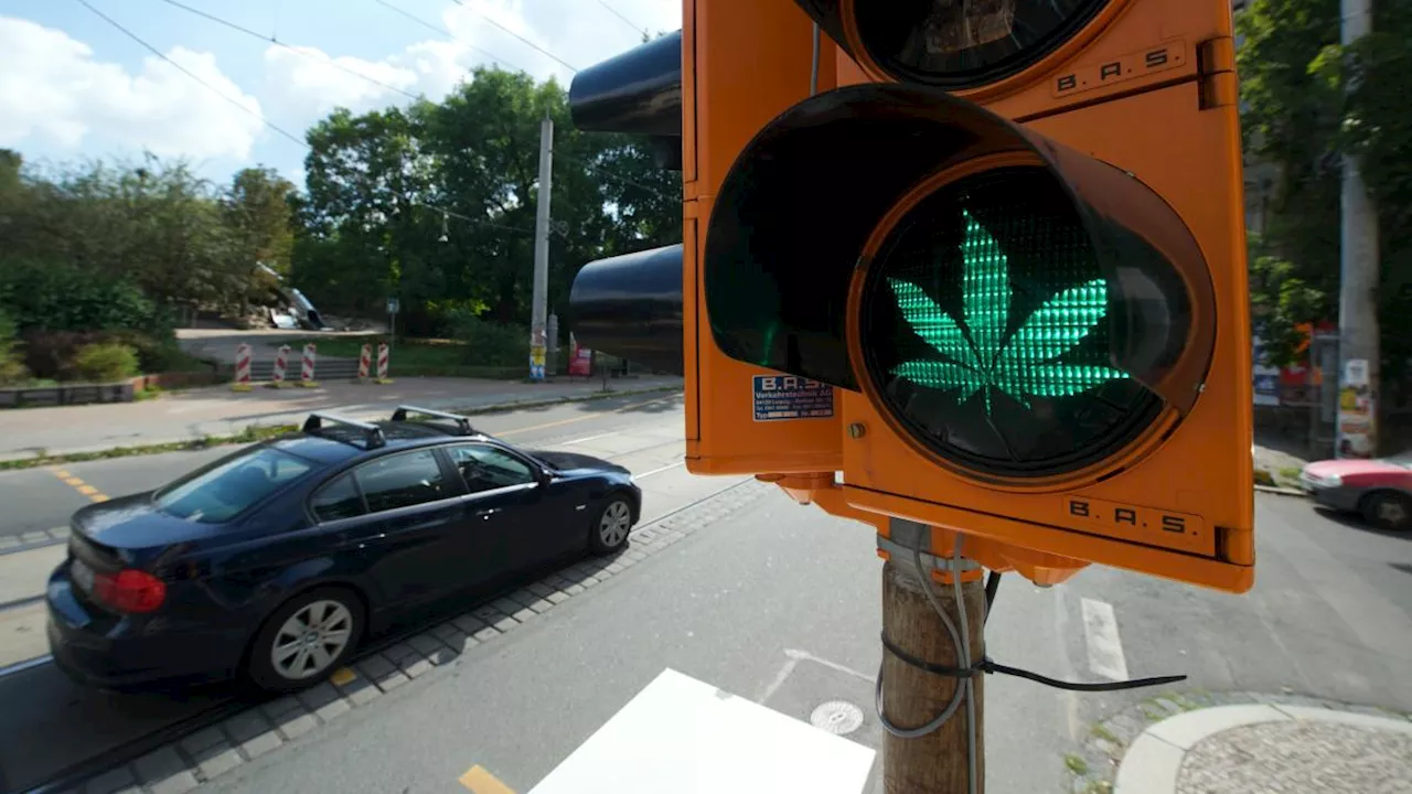 Autofahren nach Cannabis-Legalisierung: Welche THC-Grenze gilt?