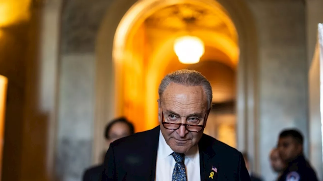 Netanyahu Will Speak to Republican Senators After Schumer Rebuke