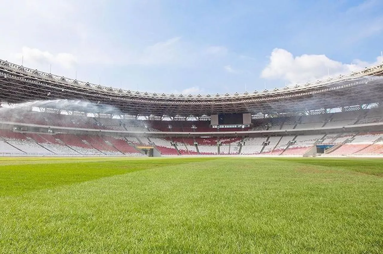 Sempat Disentil AFC, Kini Rumput GBK Sudah Siap Gelar Laga Timnas Indonesia vs Vietnam