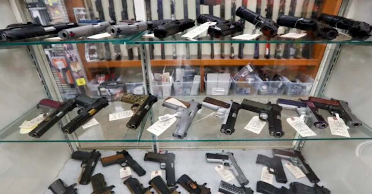 California Dems Push Bill Requiring Guns to Be Registered Annually, with a Fee