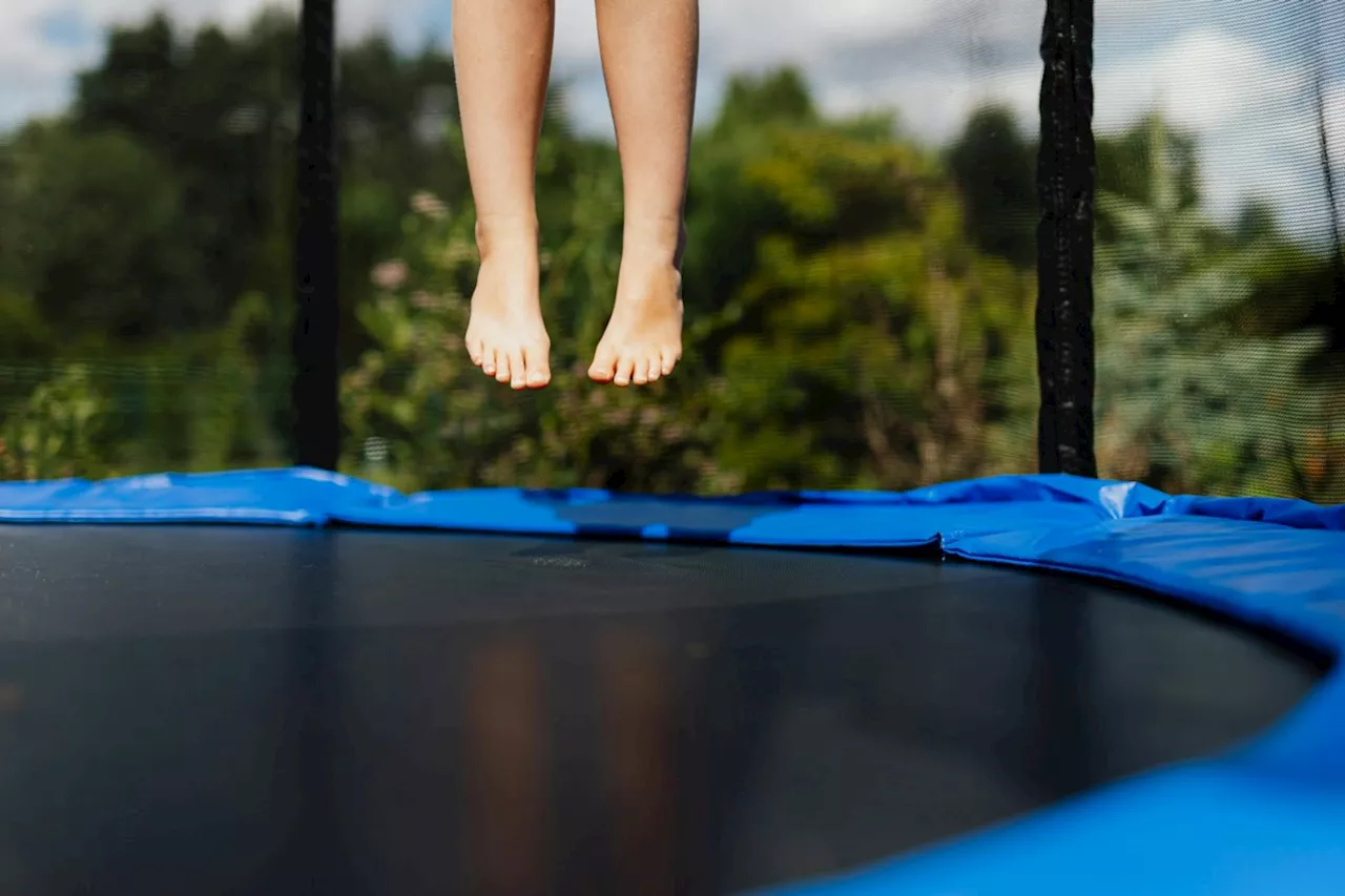 City tree destroyed my trampoline, Abbotsford man says