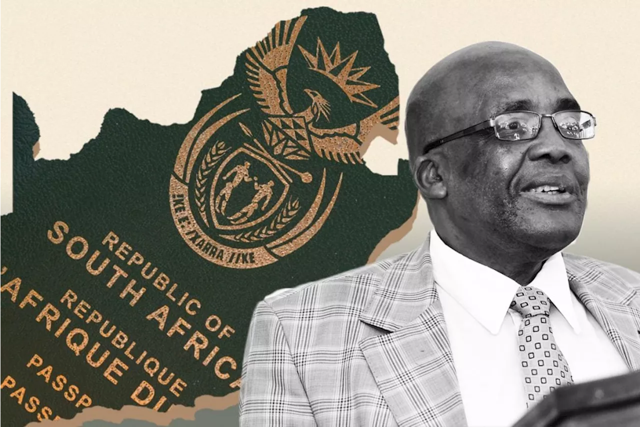 South Africans love Home Affairs for its effectiveness, says Motsoaledi