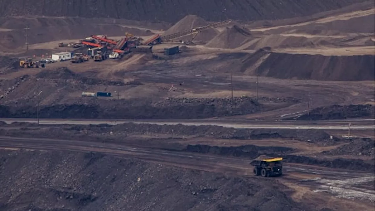 $6.4B needed to clean toxic selenium from B.C. coal mines: report
