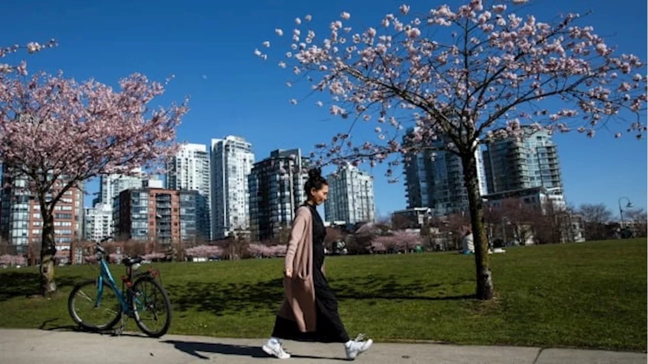 Beware the buds of March: Why early tulips and cherry blossoms are a growing concern