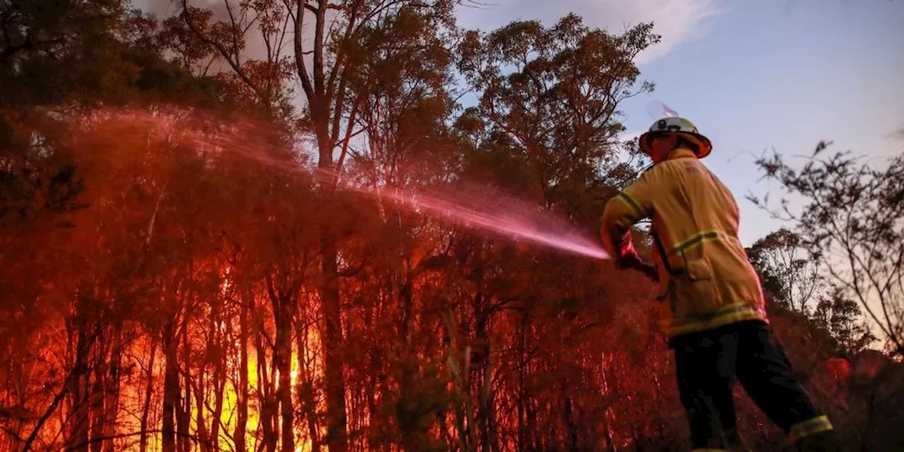 NOAA, NASA Confirm Last Decade Was Hottest in Human History