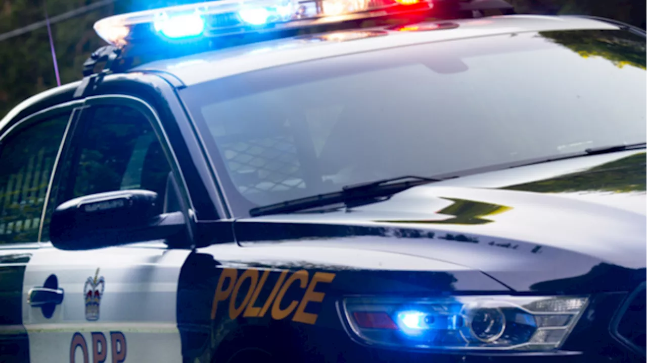 Fatal collision with tractor-trailer near Peterborough