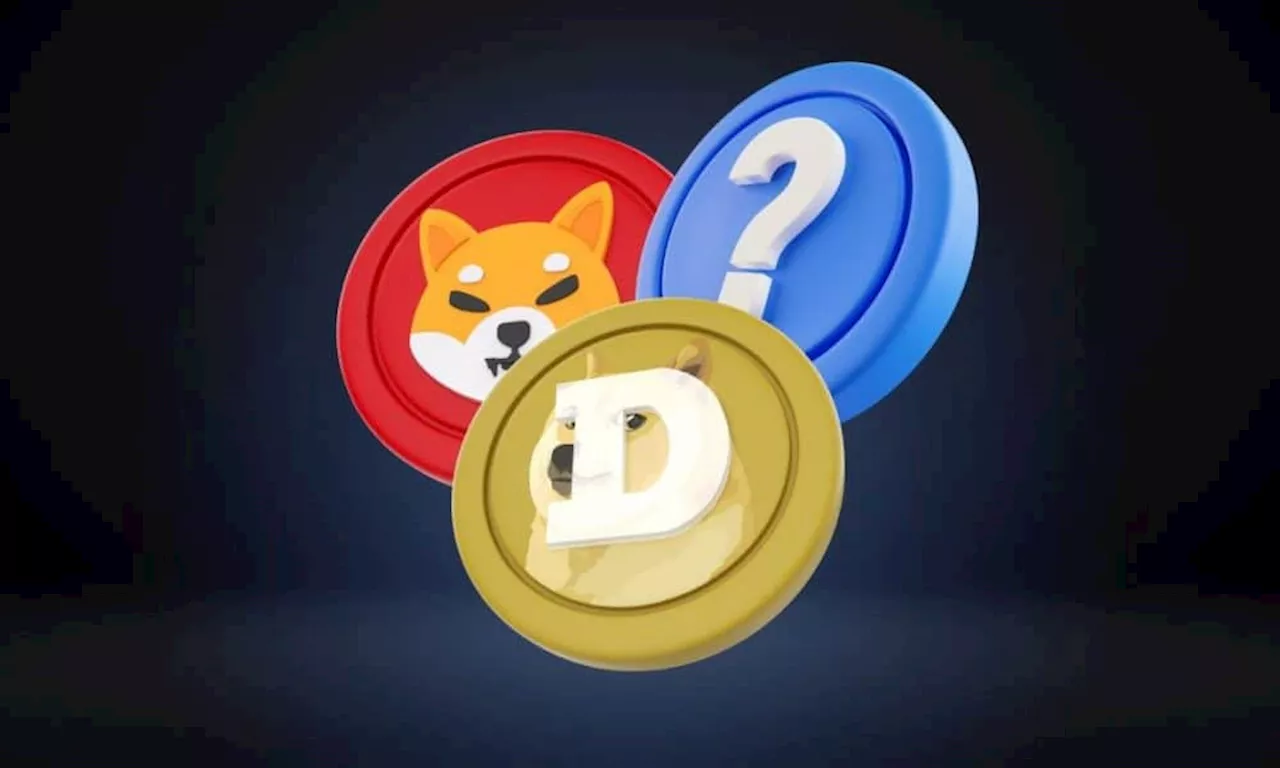 Meme Coin Investors Dump Shiba Inu For New Gaming SHIB Rival