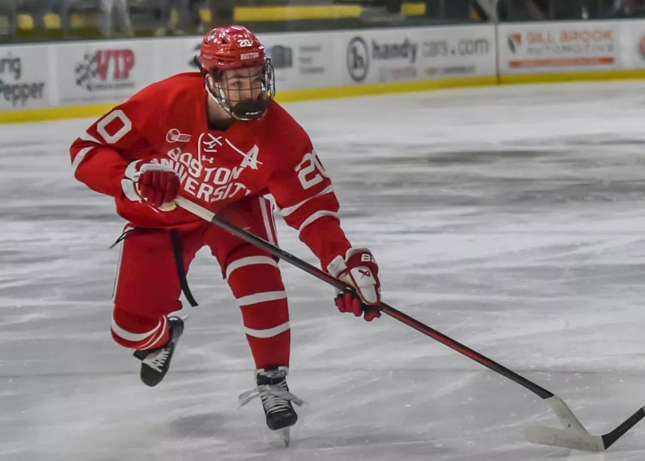 Hutson, Gauthier, Celebrini highlight NCAA’s 2024 Hobey Baker top 10 finalists