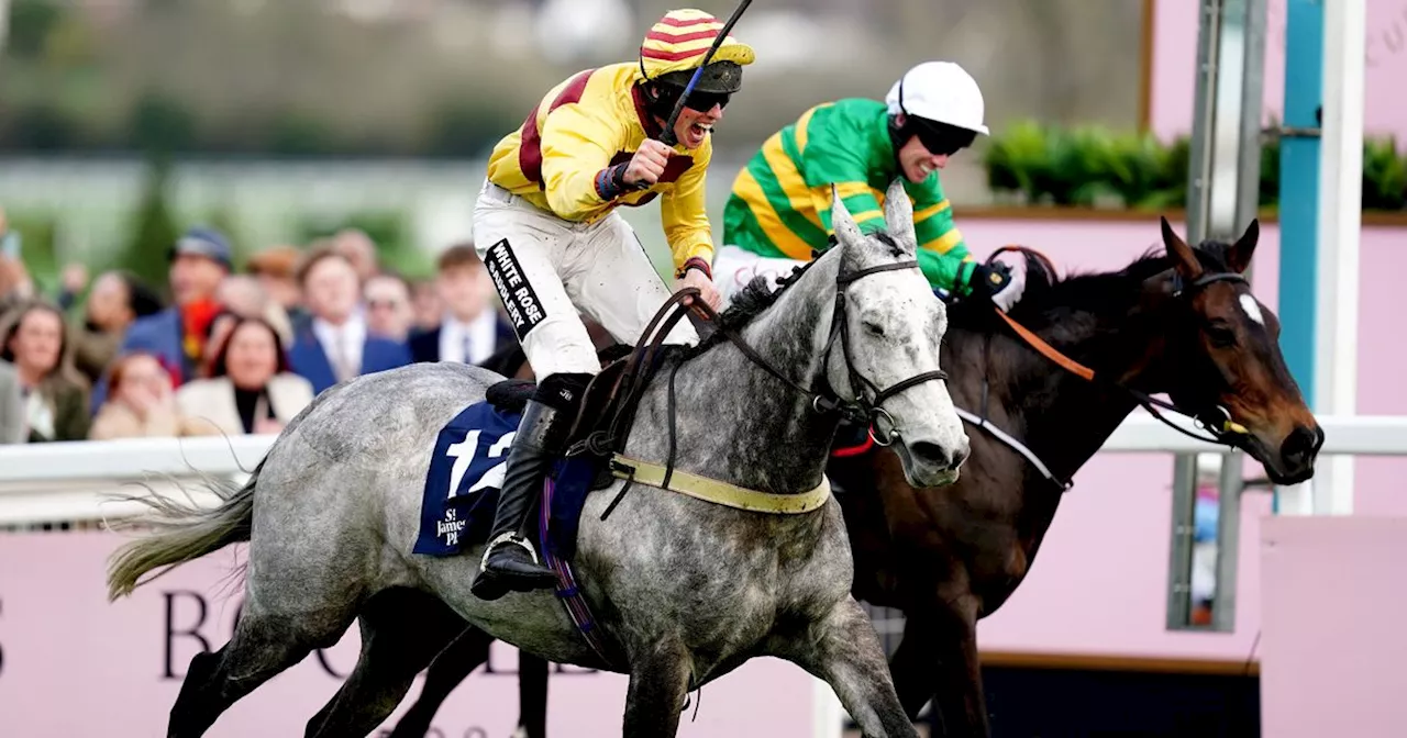 Grand National 2024: Cheltenham winner Sine Nomine won't head to Aintree