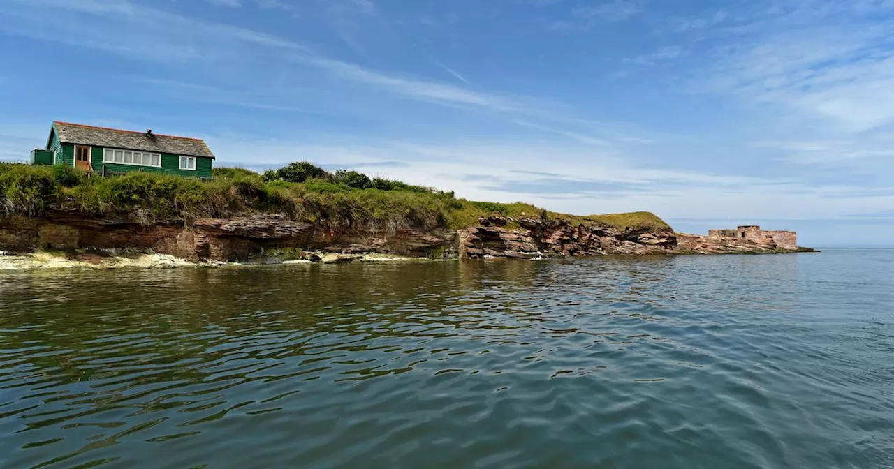 Magical Merseyside island home to rare plants, seals and dolphins