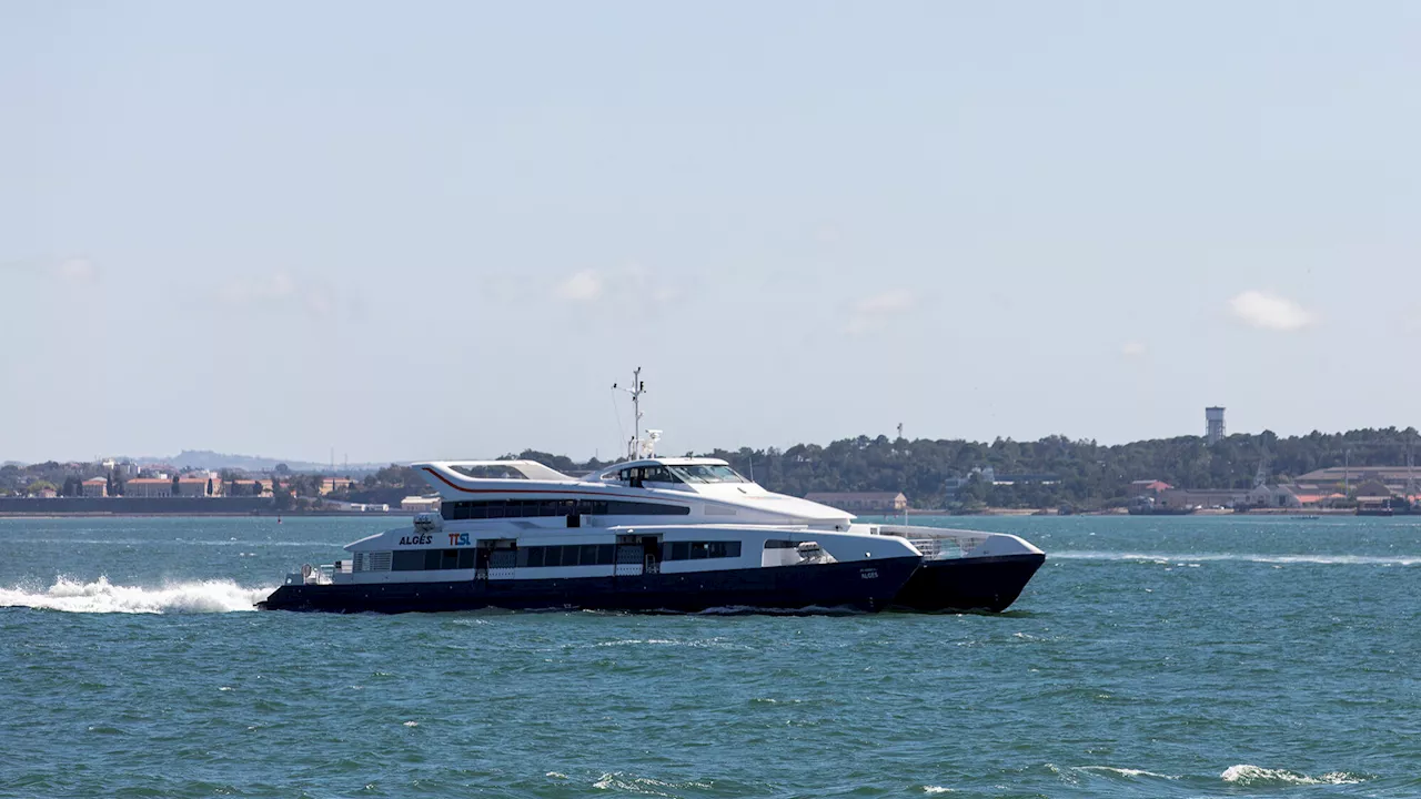 Ligação fluvial Montijo-Lisboa suspensa no fim de semana