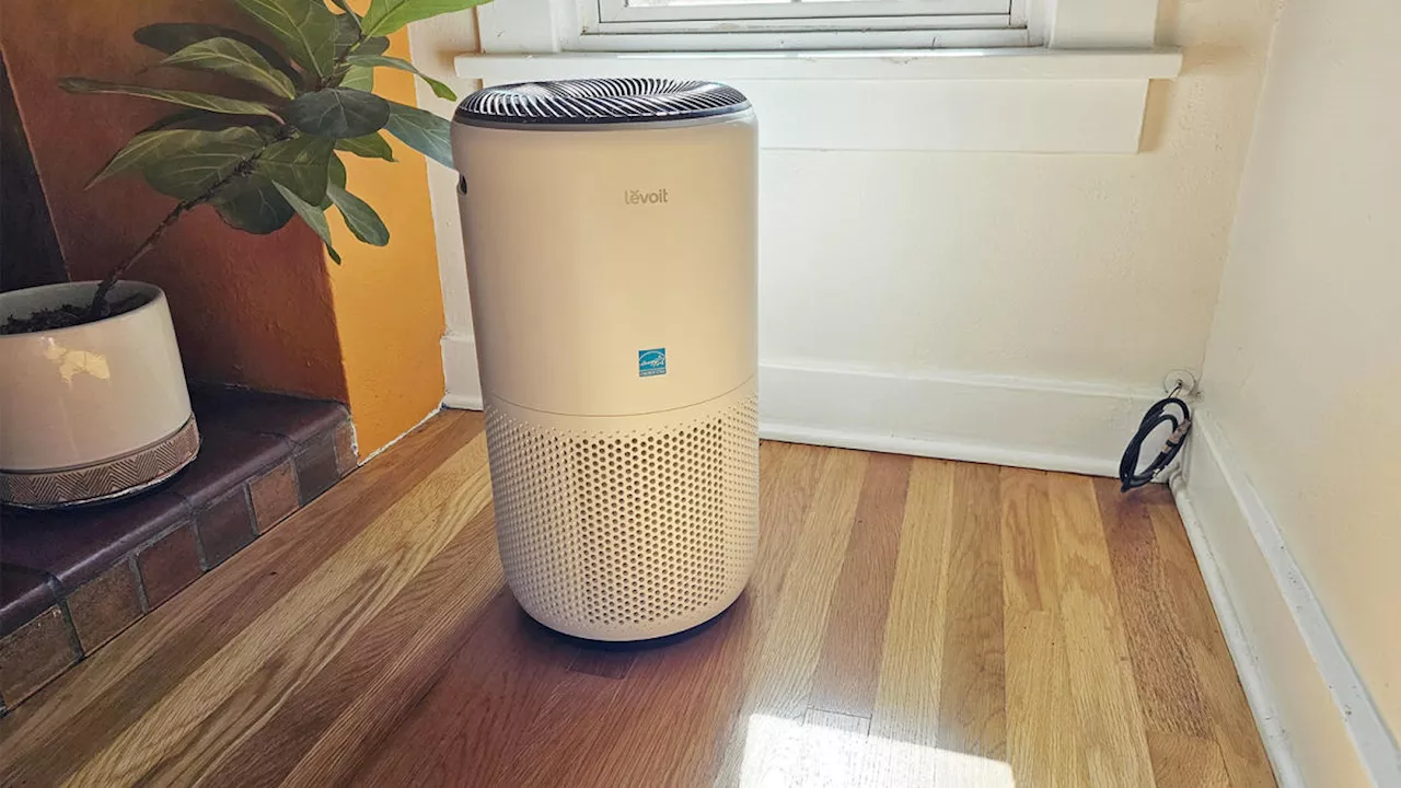 Save $30 on our favorite smart air purifier during the Amazon Big Spring Sale