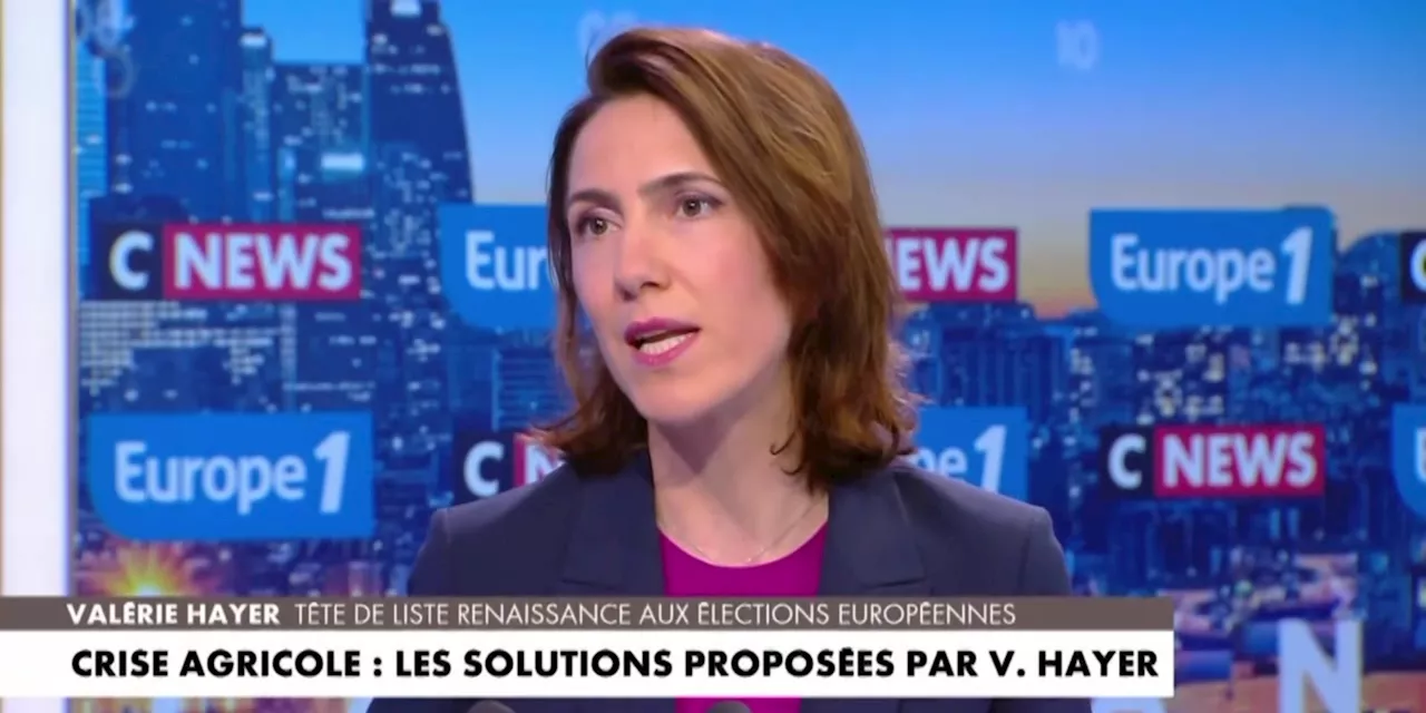 Valérie Hayer : «C'est en renforçant l'Europe qu'on renforcera la France»