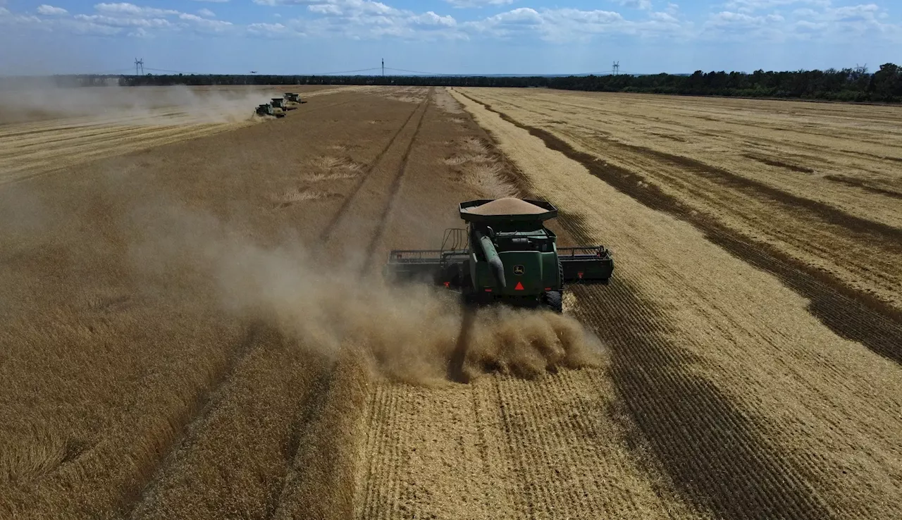 União Europeia limita importações agrícolas ucranianas