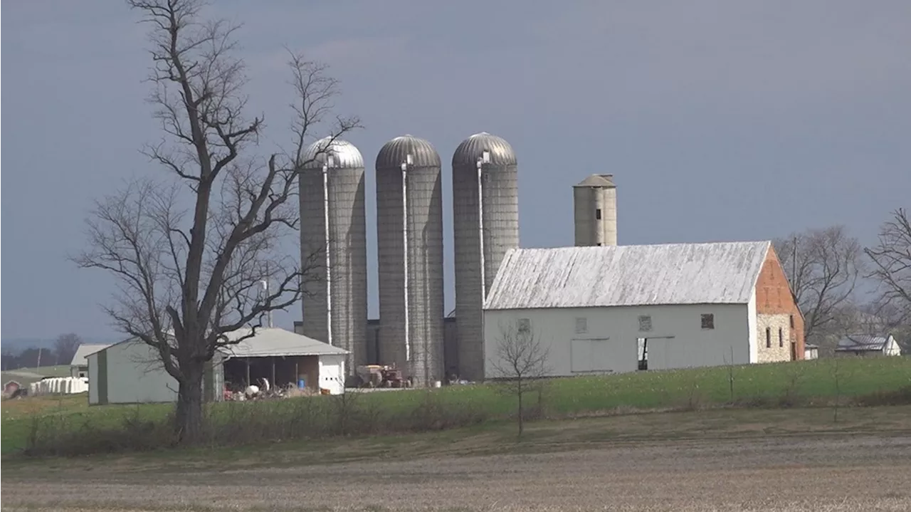 Cumberland County municipalities forming coalition to tackle bad odor from farms