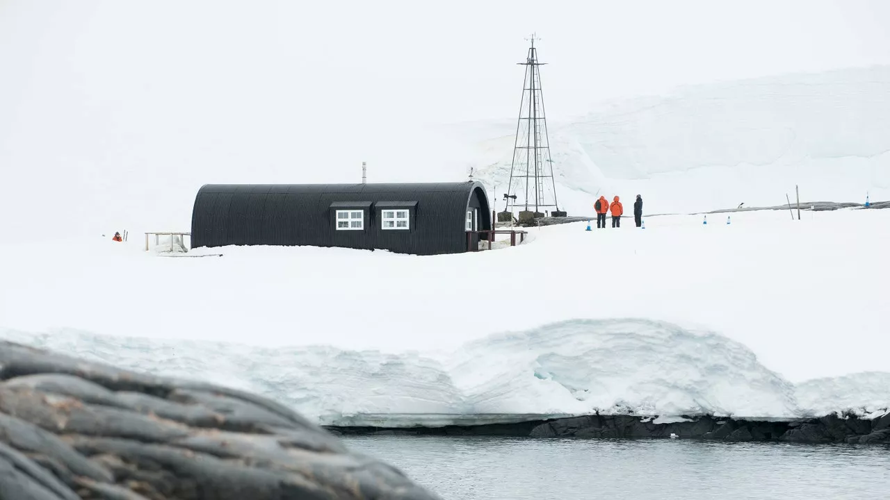 Job Opportunity: Counting Penguins and Sorting Postcards in Antarctica