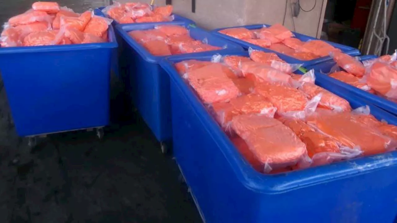 California border officers find thousands of pounds of meth in shipment of carrots