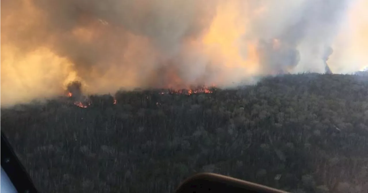 Man pleads not guilty to charges related to largest wildfire in N.S. history