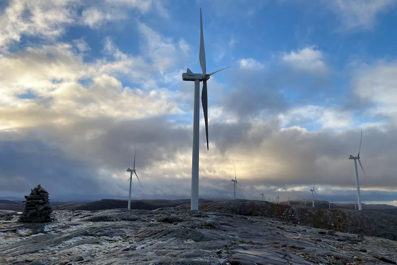 Japanese groups, IKEA-linked investor win first Norway offshore wind tender