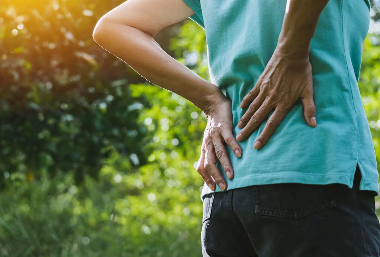 Rückenschmerzen nach der Gartenarbeit? Diese Tricks helfen!