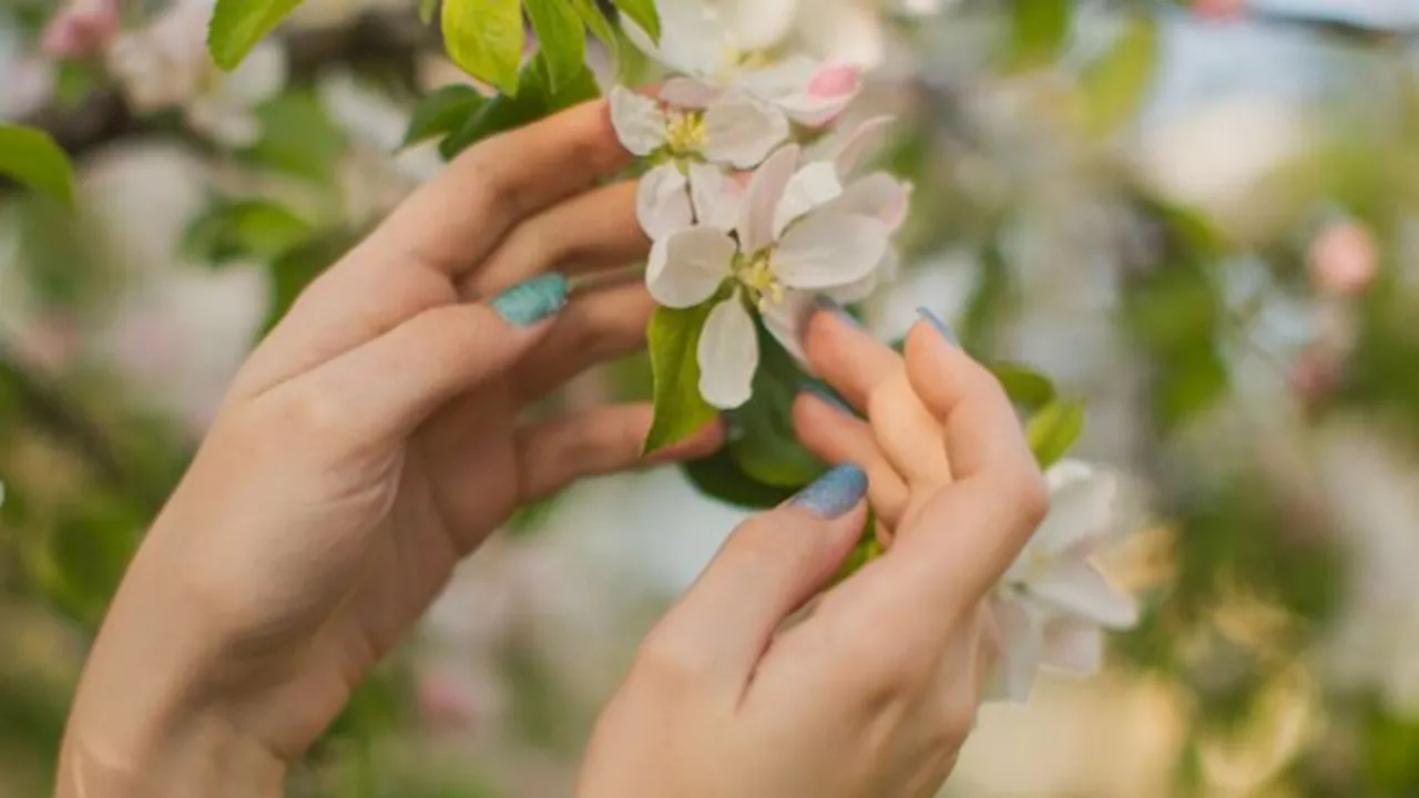 Unghie colori primavera 2024: le nail art più belle da provare