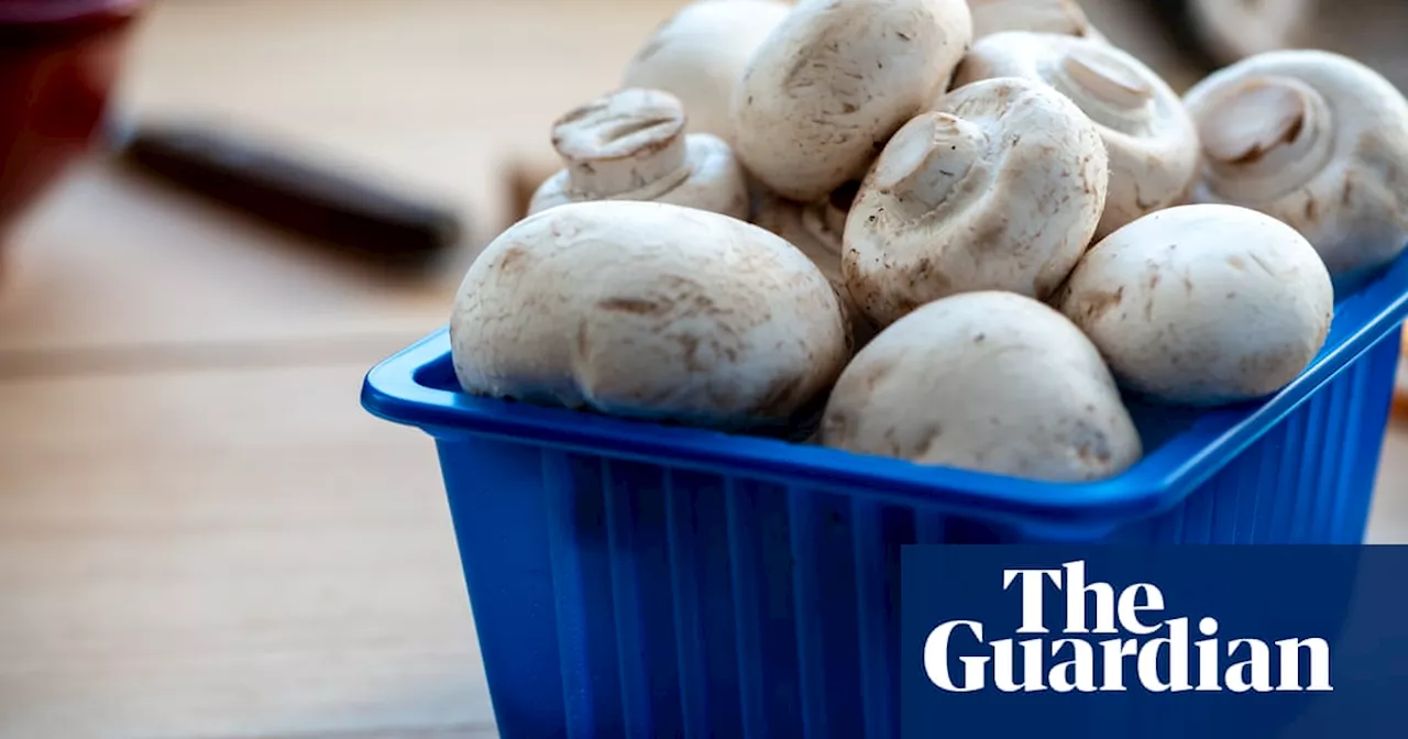 Forbidden fungi: why mushrooms have been banished from National Trust menus