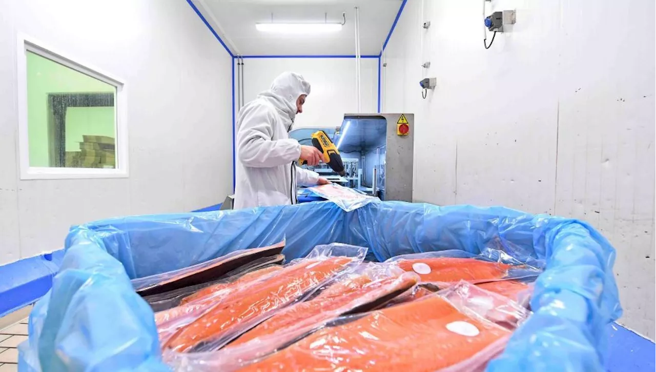 Come acquistare salmone sostenibile guardando l'etichetta