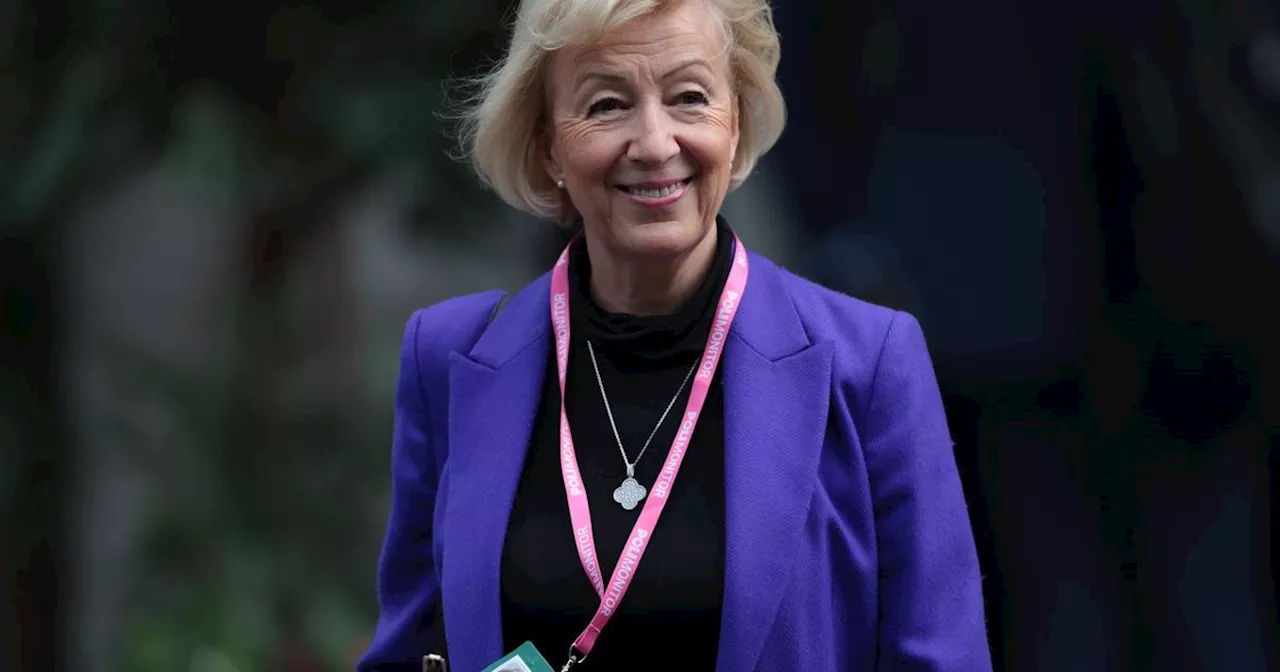 Andrea Leadsom Suggests Cost Of Living Crisis Is Over As Inflation Fall Has 'Cheered Everyone Up'