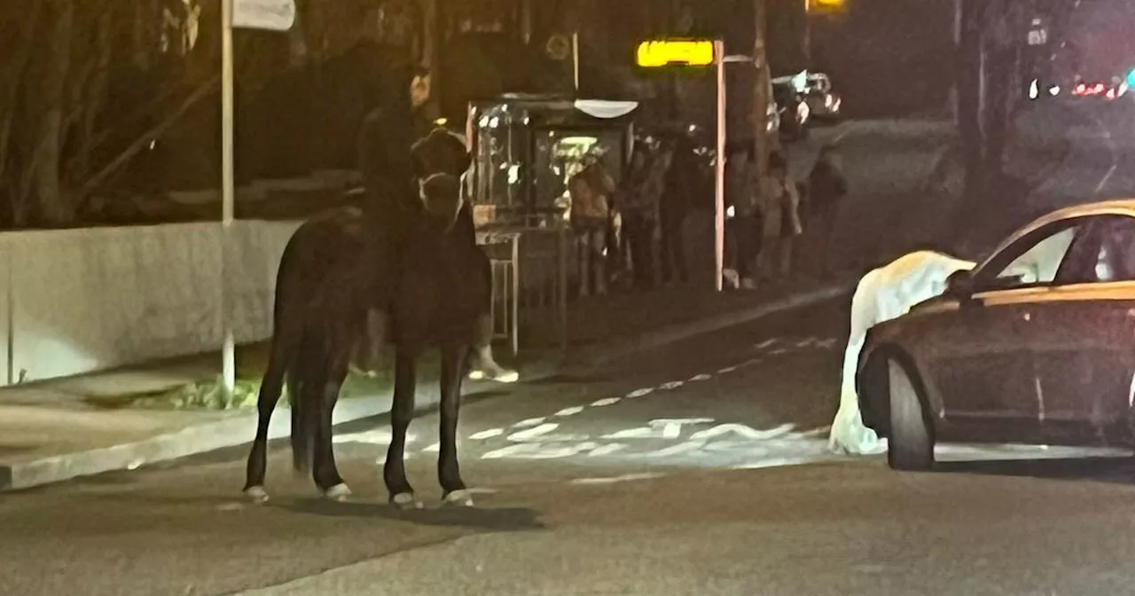 Men on horseback cause traffic disruption at protest in Coolock