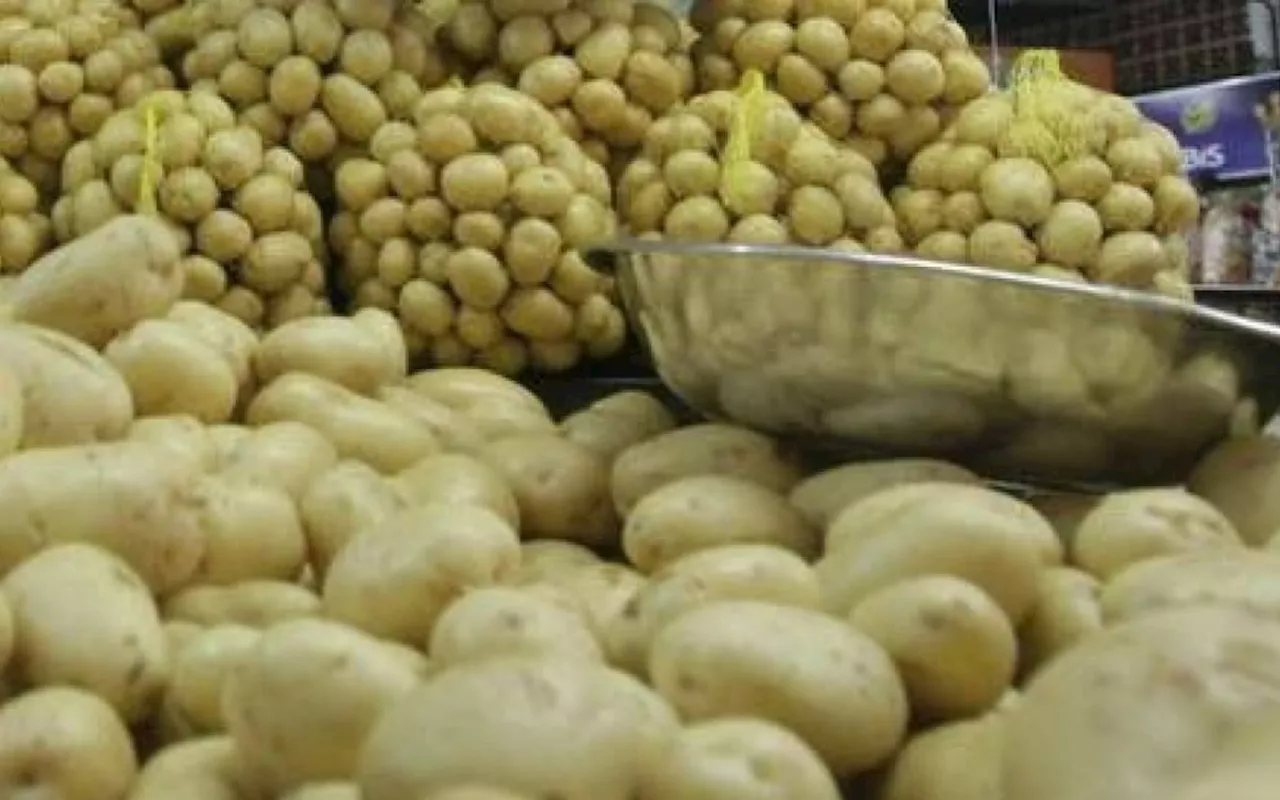 Preços da alface, batata, cebola e tomate sobem em fevereiro no atacado, diz Conab