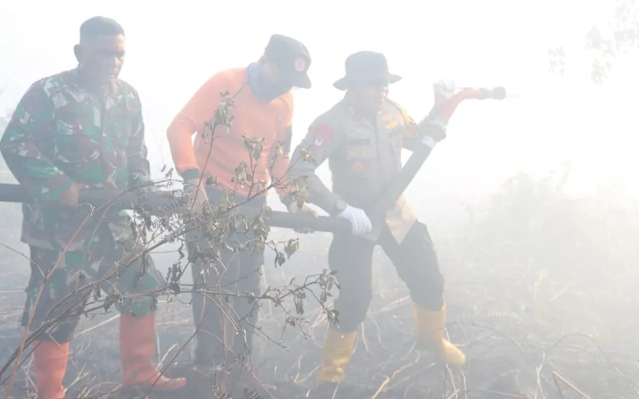 50 Hektare Lahan Gambut di Pelalawan Terbakar