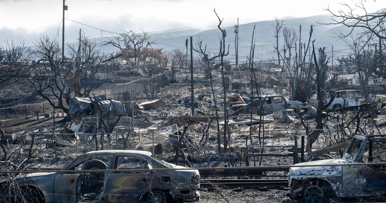 Native Hawaiians aim to bring cultural sensitivity to Maui wildfire cleanup