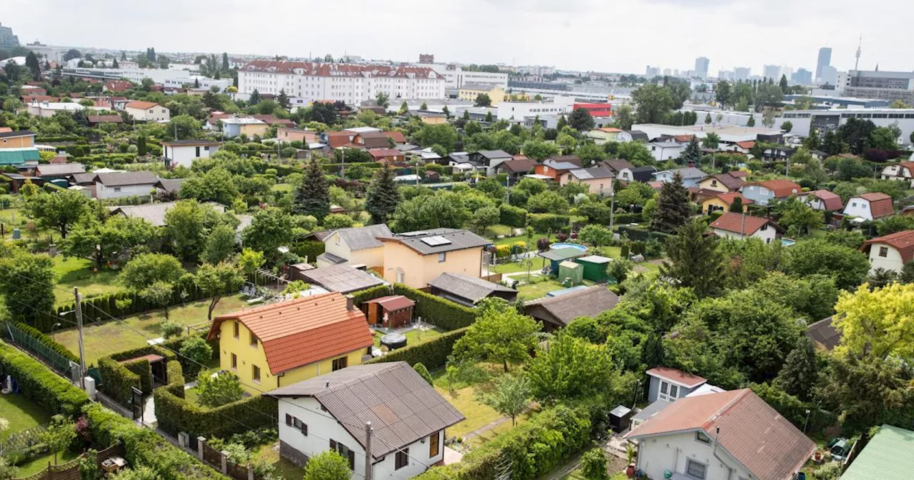 Grüne beantragen Abgabe bei Kleingarten-Umwidmung