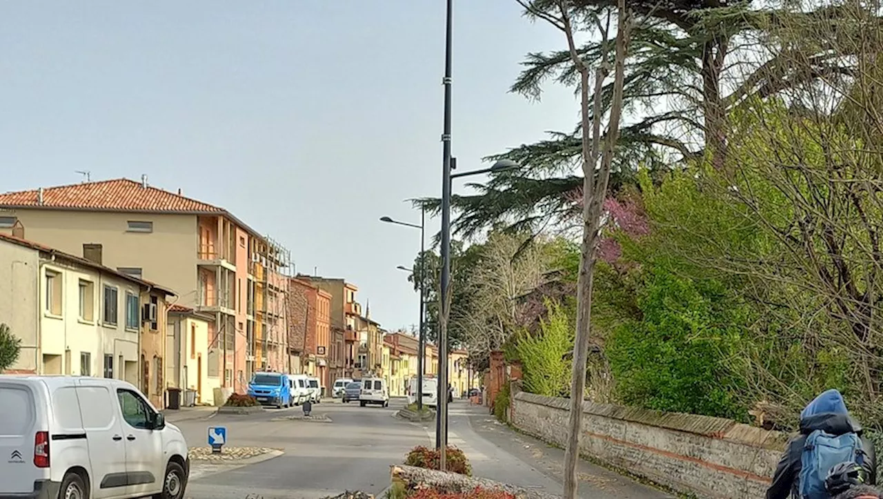 L’arbre mort chute sur la chaussée au centre de Muret