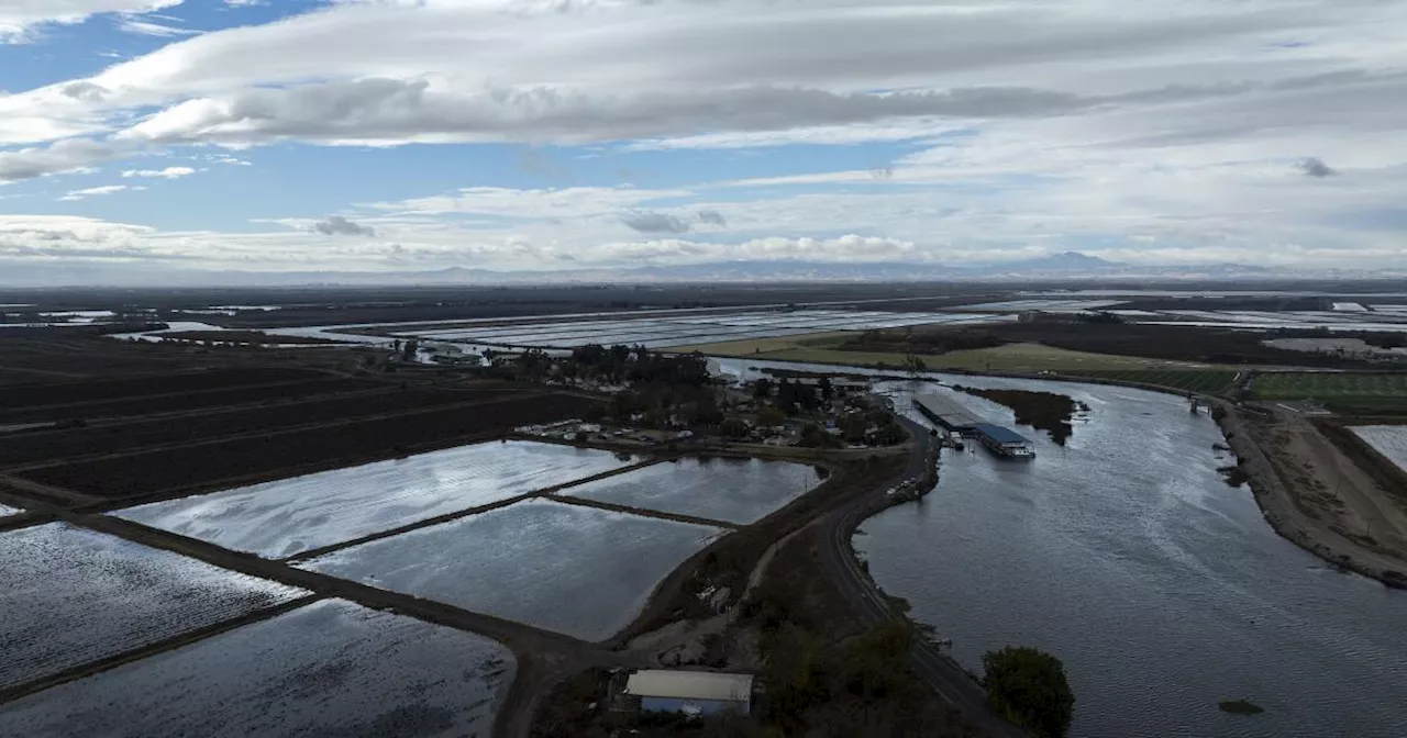 Court upholds state plan to require more water in California rivers