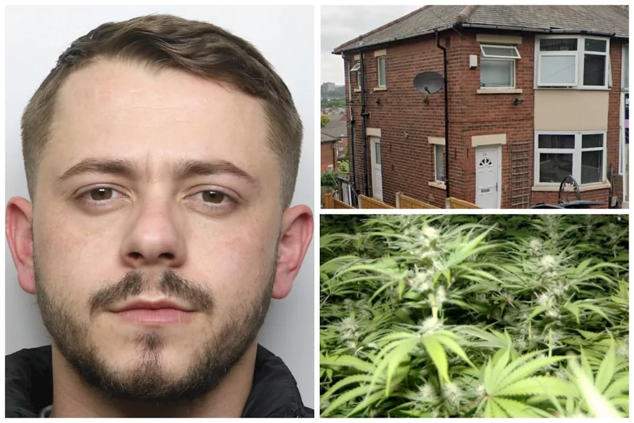 Dealer with £85,000 worth of cannabis at Leeds house caught out by Tesco and Argos receipts