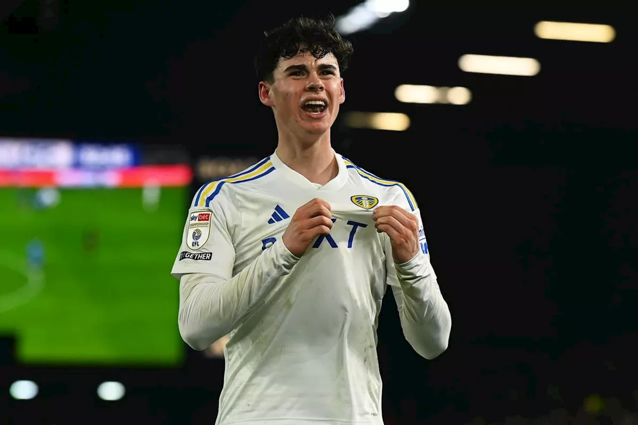 Scotland coach gives update on chase of Leeds United's Archie Gray ahead of Euro 2024