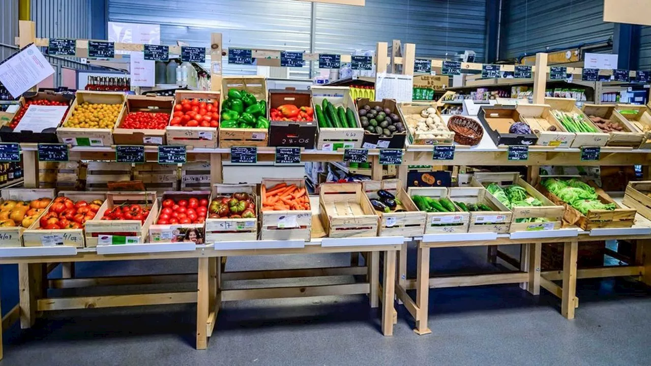 Le supermarché autogéré de Besançon cherche de nouveaux coopérateurs