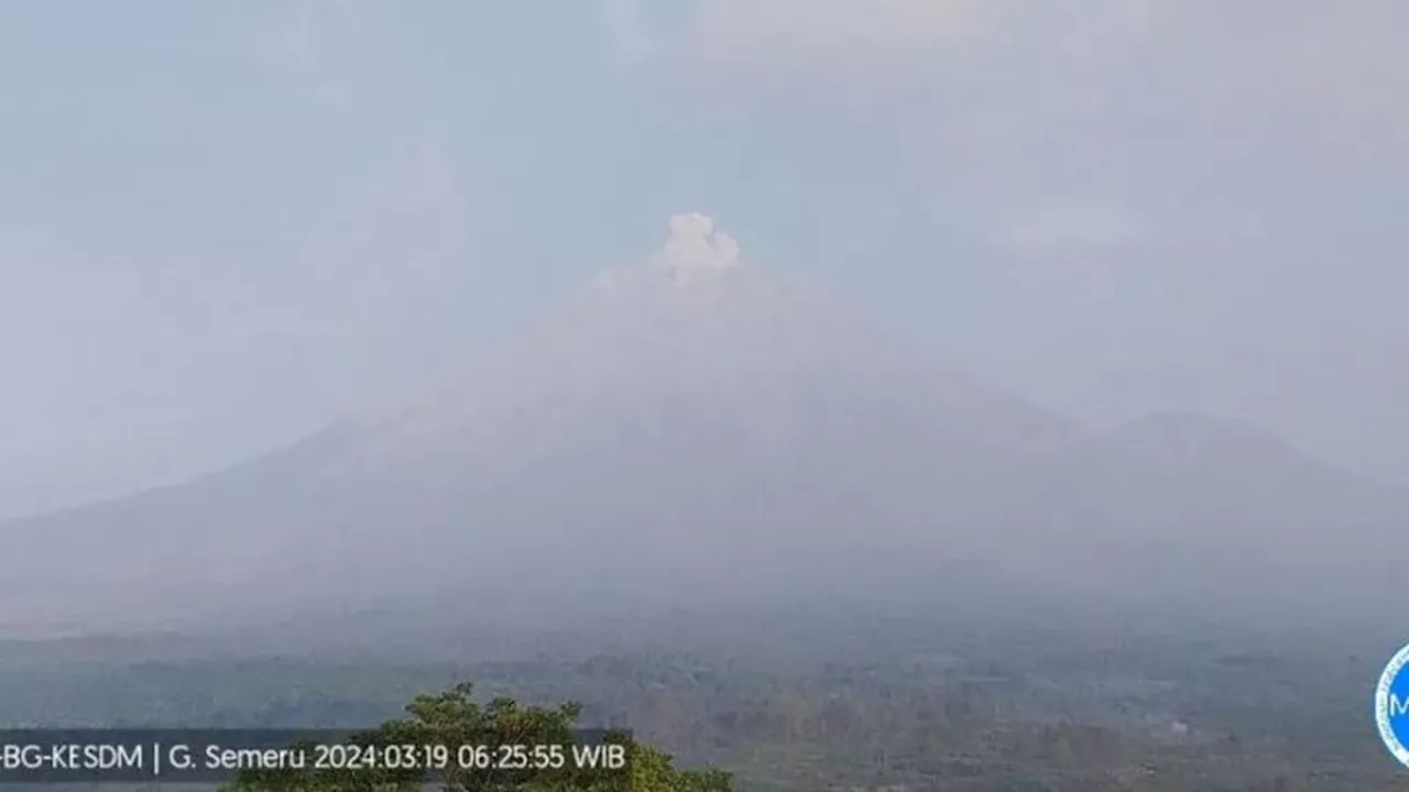 Gunung Semeru Erupsi Lagi, Tinggi Letusan Capai 500 Meter