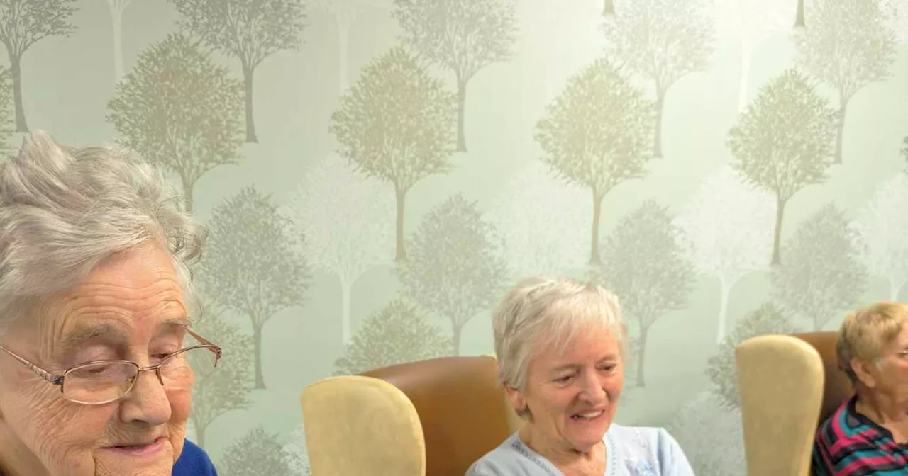 Chorley care home welcomes unusual visitors to help reduce stress and anxiety