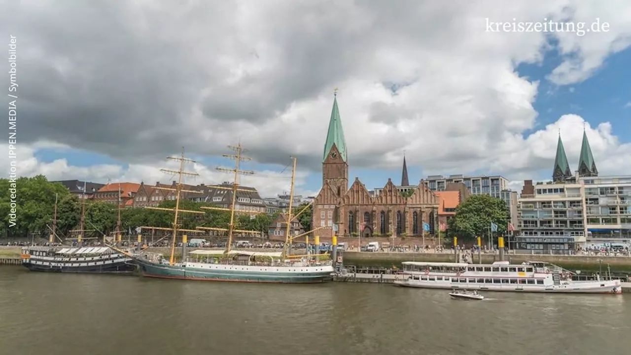 „Gurkenfische“ entern Weser und Elbe: Die Saison hat begonnen – aber die Art ist bedroht