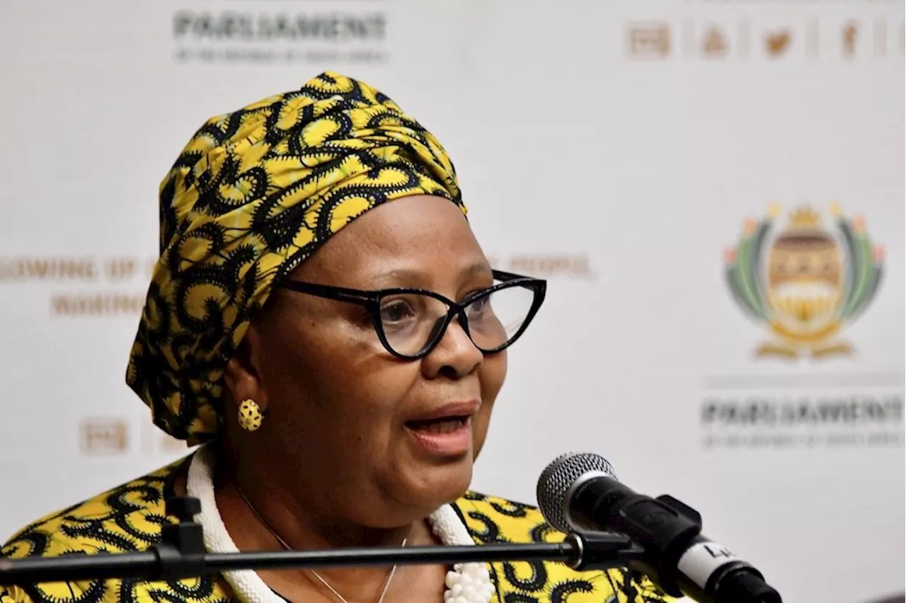 Mapisa-Nqakula: ANC may decide silence is best