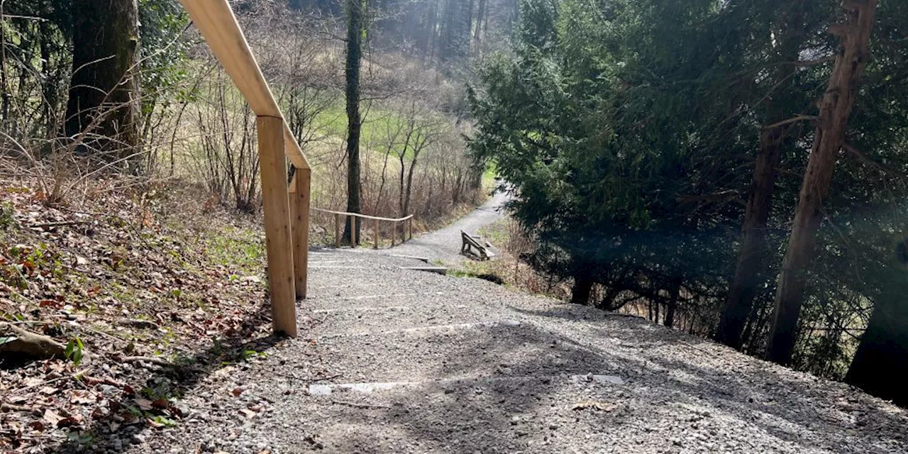 Auf diesem neuen Weg am Zürcher Uetliberg rutschen alle aus