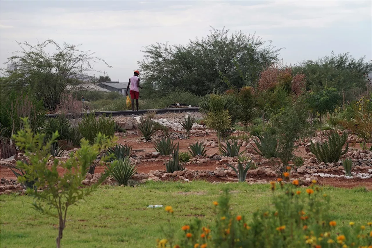 Green-fingered Upington residents are transforming their community for a better life