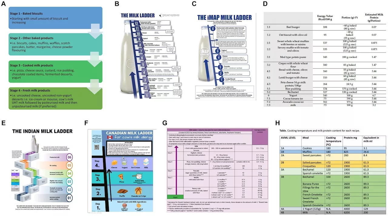 Milk ladder approach offers hope for children with cow's milk allergy