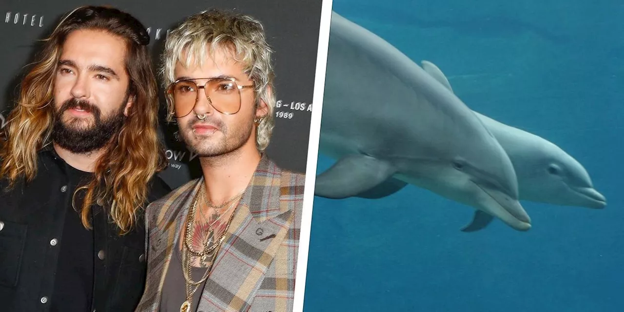 In 'Kaulitz Hills': Bill und Tom Kaulitz kritisieren Nürnberger Delfinarium scharf