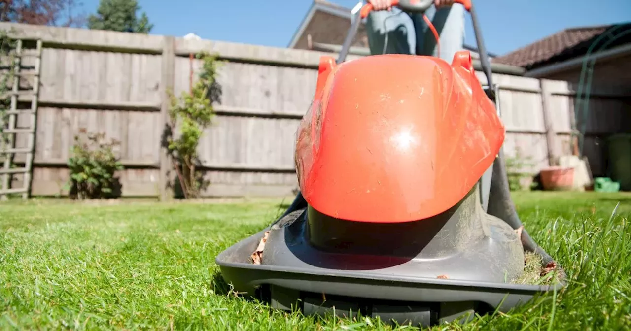 Experts on when to cut your grass for the first time